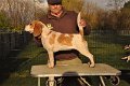 Afb_20140323_Ollie (4)